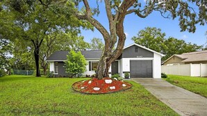 A residential house with a garage, a well-maintained lawn, and a tree in the front yard. - Beautiful 2/2 Pool Home in Spring Hill (Spring Hill)