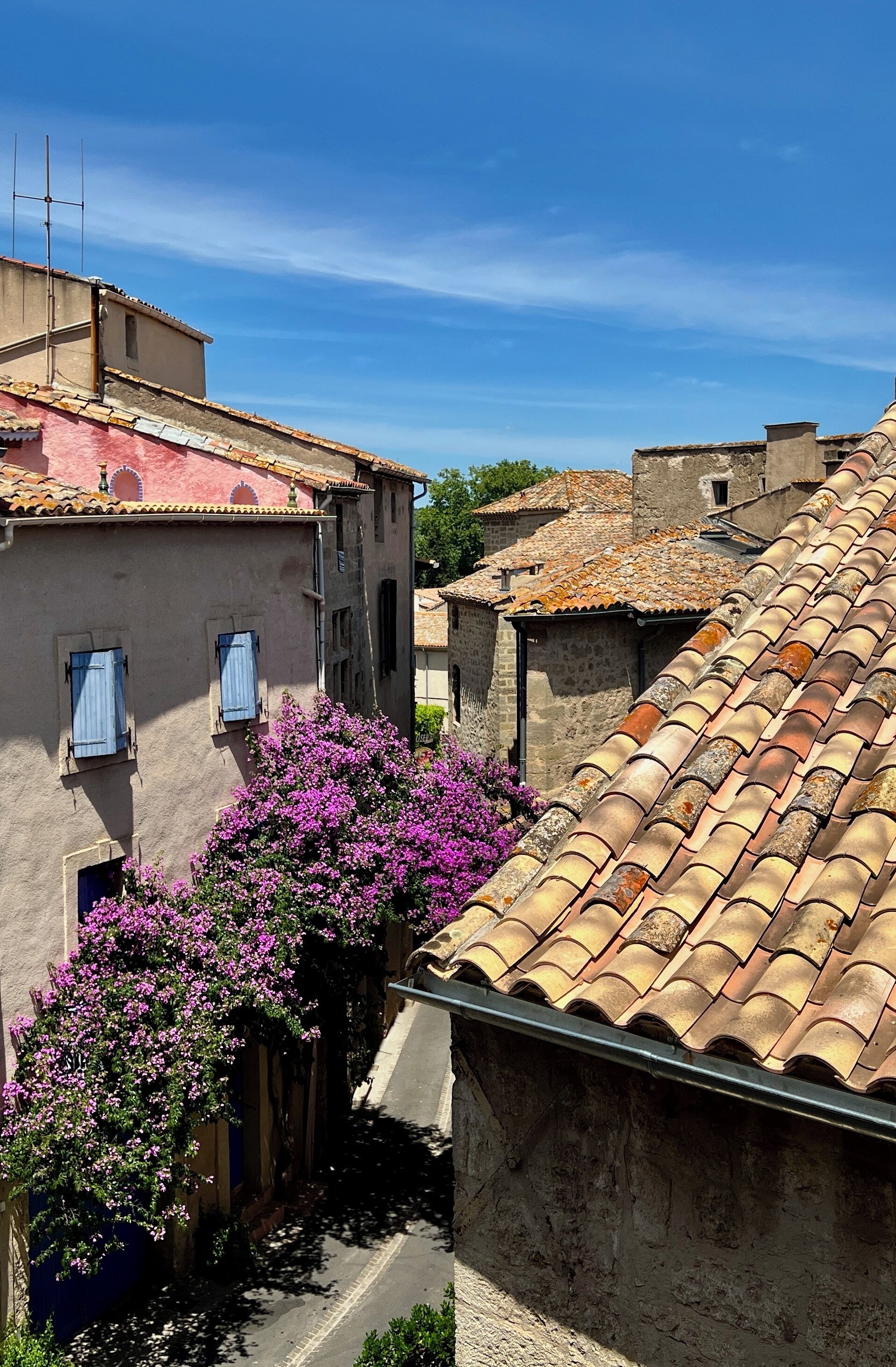 A narrow street with buildings, a tiled roof, and a flowering bush.