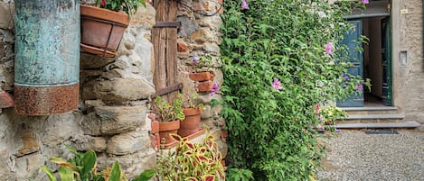 A rustic stone wall with multiple flower pots and a climbing plant with purple flowers.