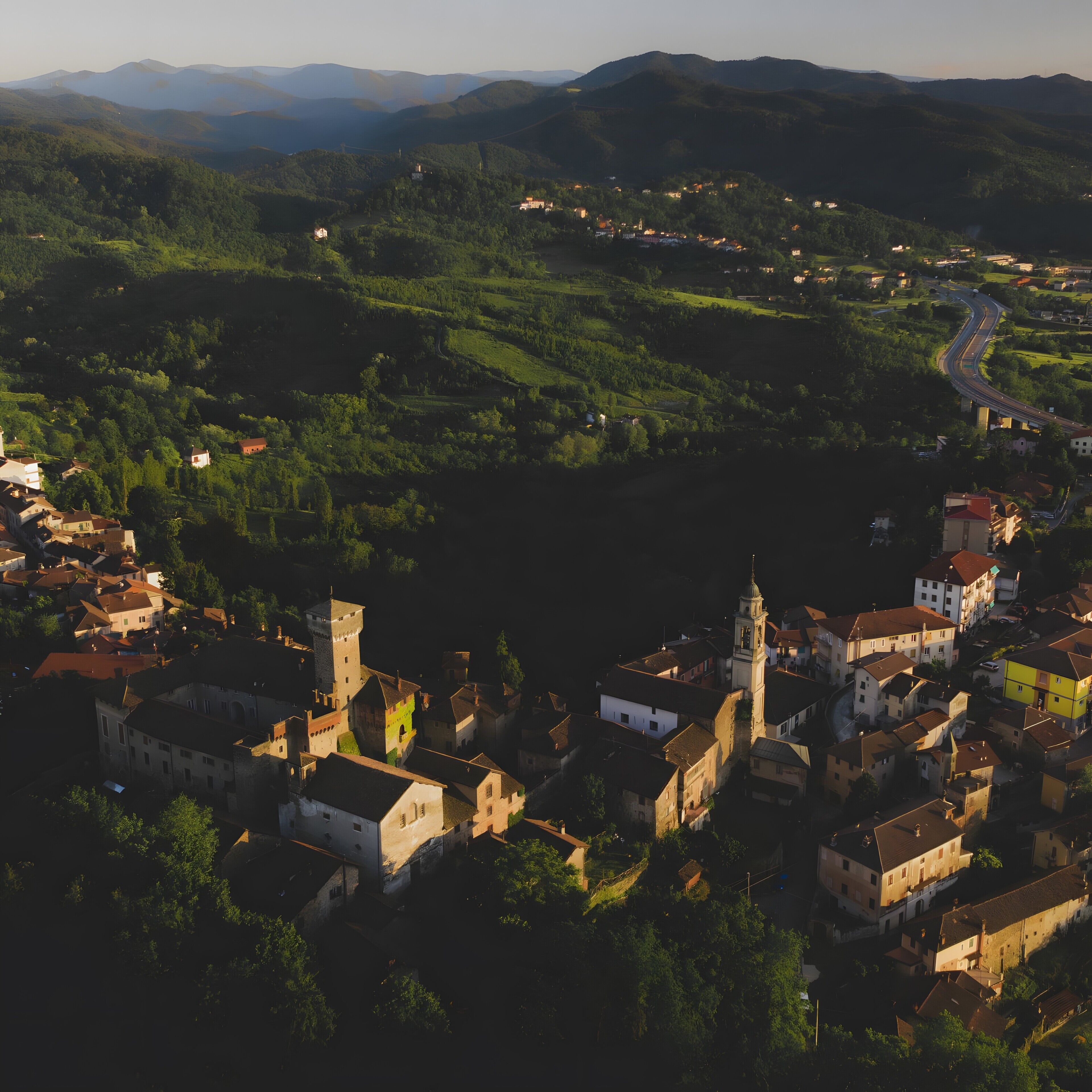 Aerial view