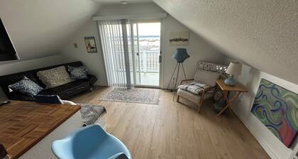 Quaint 1-bedroom apartment in pleasant Everett neighborhood