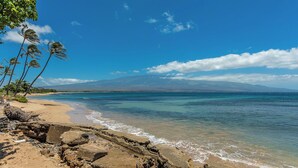 Una playa con agua azul cristalina, costa rocosa y palmeras.