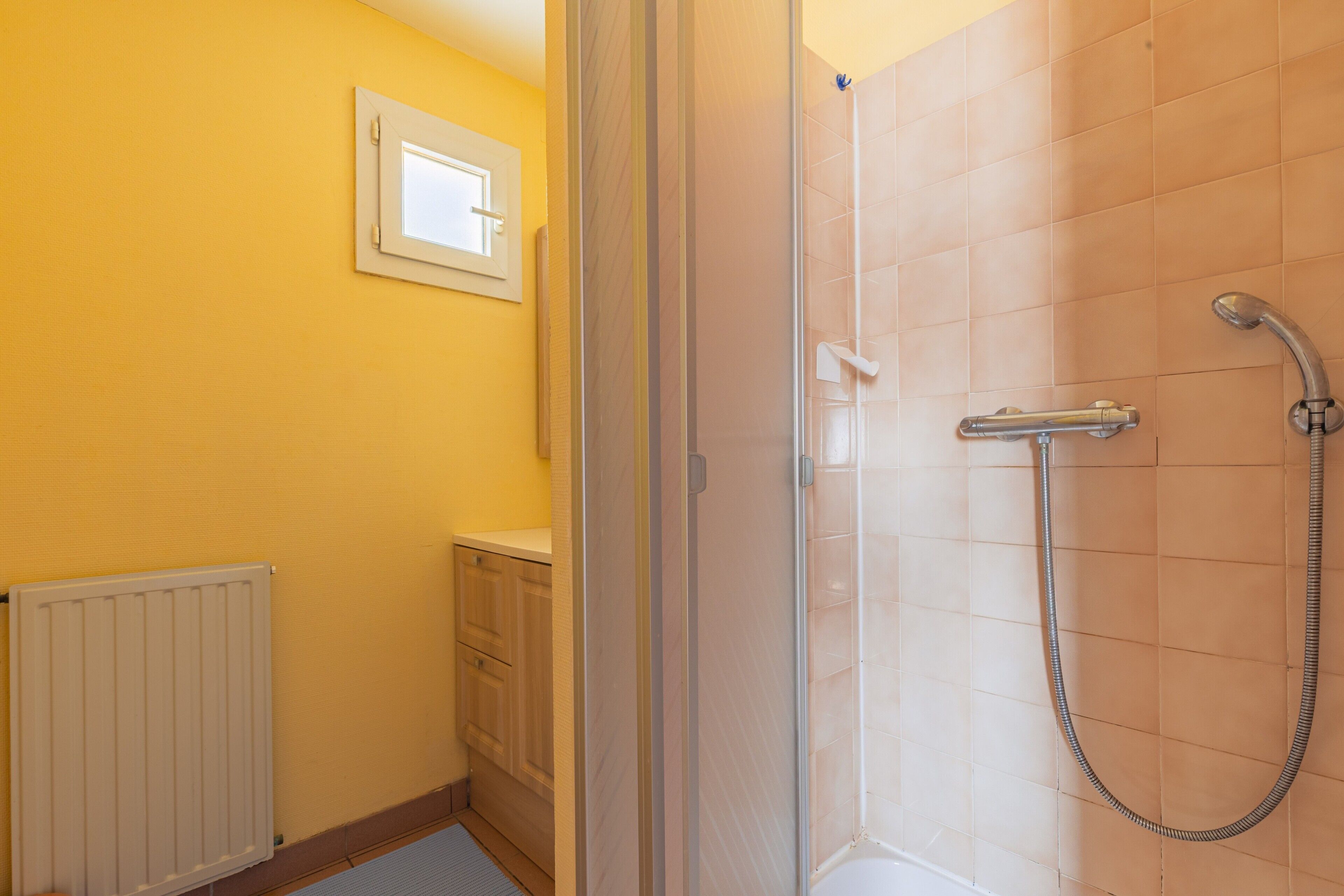 Shower, hair dryer