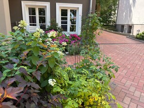 A garden with various plants and flowers in front of a building with white-framed windows. - Apartment 'Orange' in Bielefeld (Bielefeld)