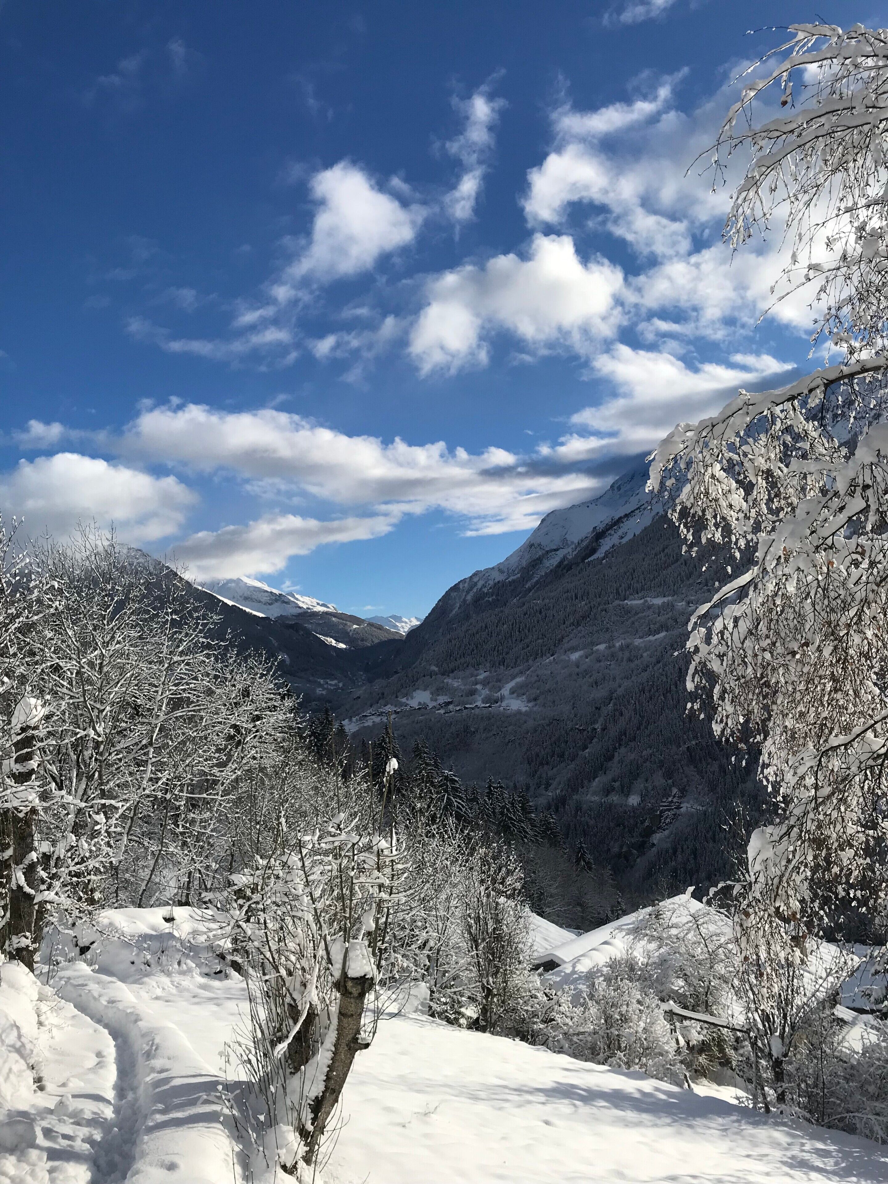 A snow-covered valley with mountains in the background.