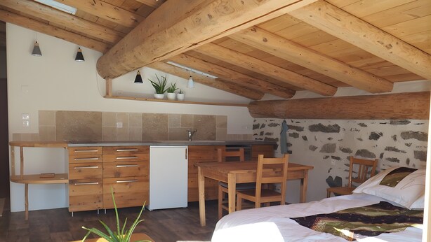 Un dormitorio compacto con cama, una mesa de madera con planta en maceta, una pequeña zona de cocina con lavamanos y armarios, y una pared de piedra.