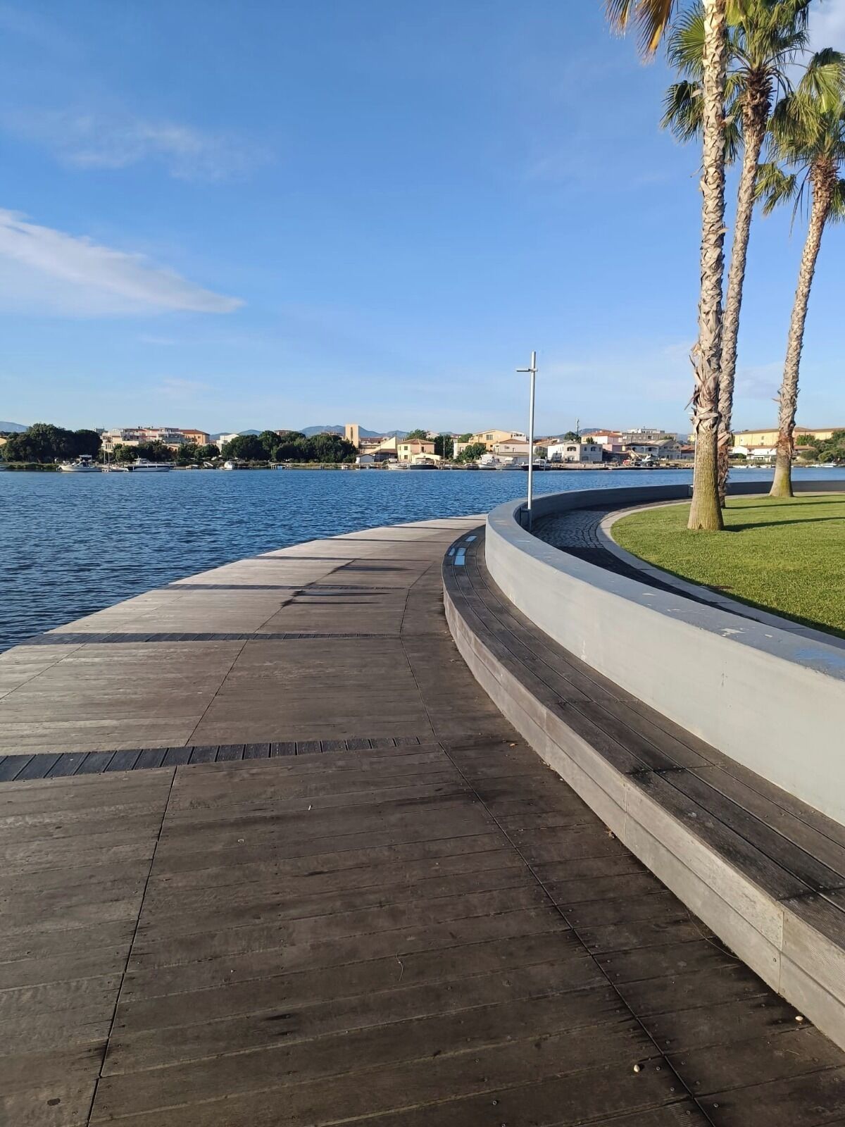 En havnefront med en buet træpromenade, palmer og frit udsyn til vandet og fjerne bygninger.