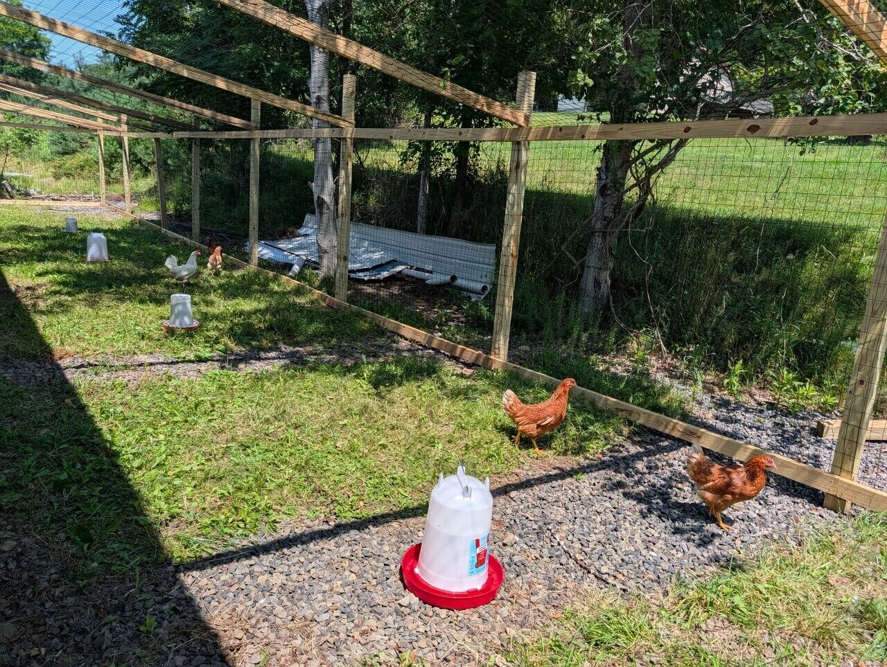 A chicken coop with a wooden structure and wire mesh, surrounded by grass and trees.