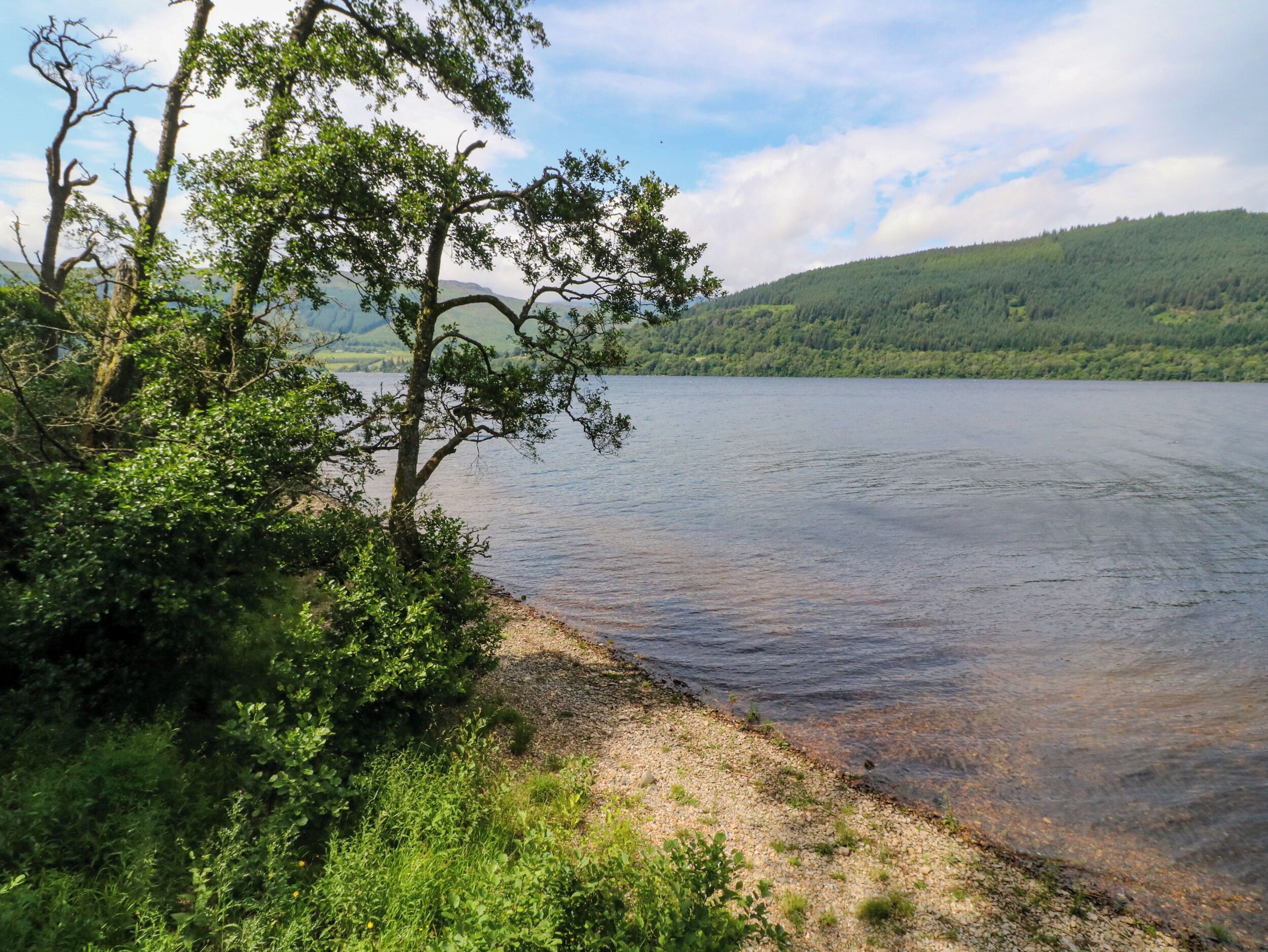 A natural landscape with a lake, trees, and a hill in the background.