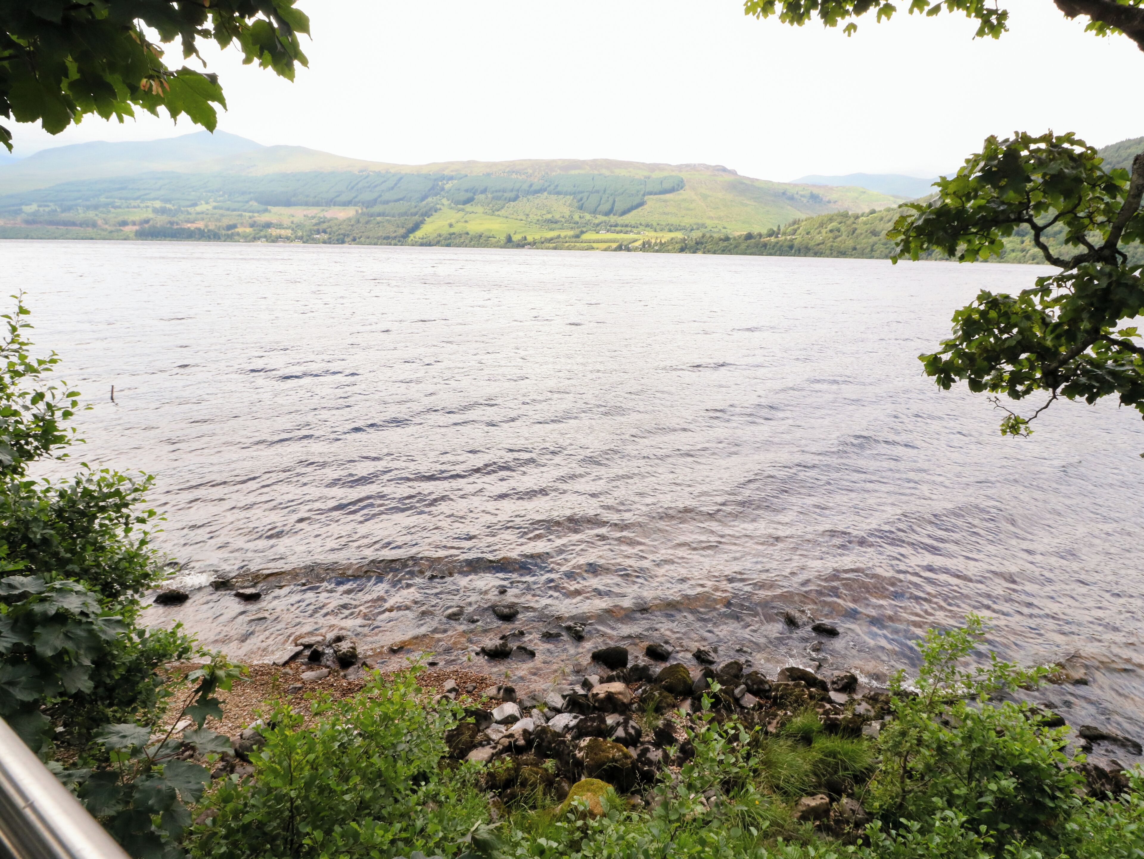 A lake with a rocky shoreline and surrounding greenery.
