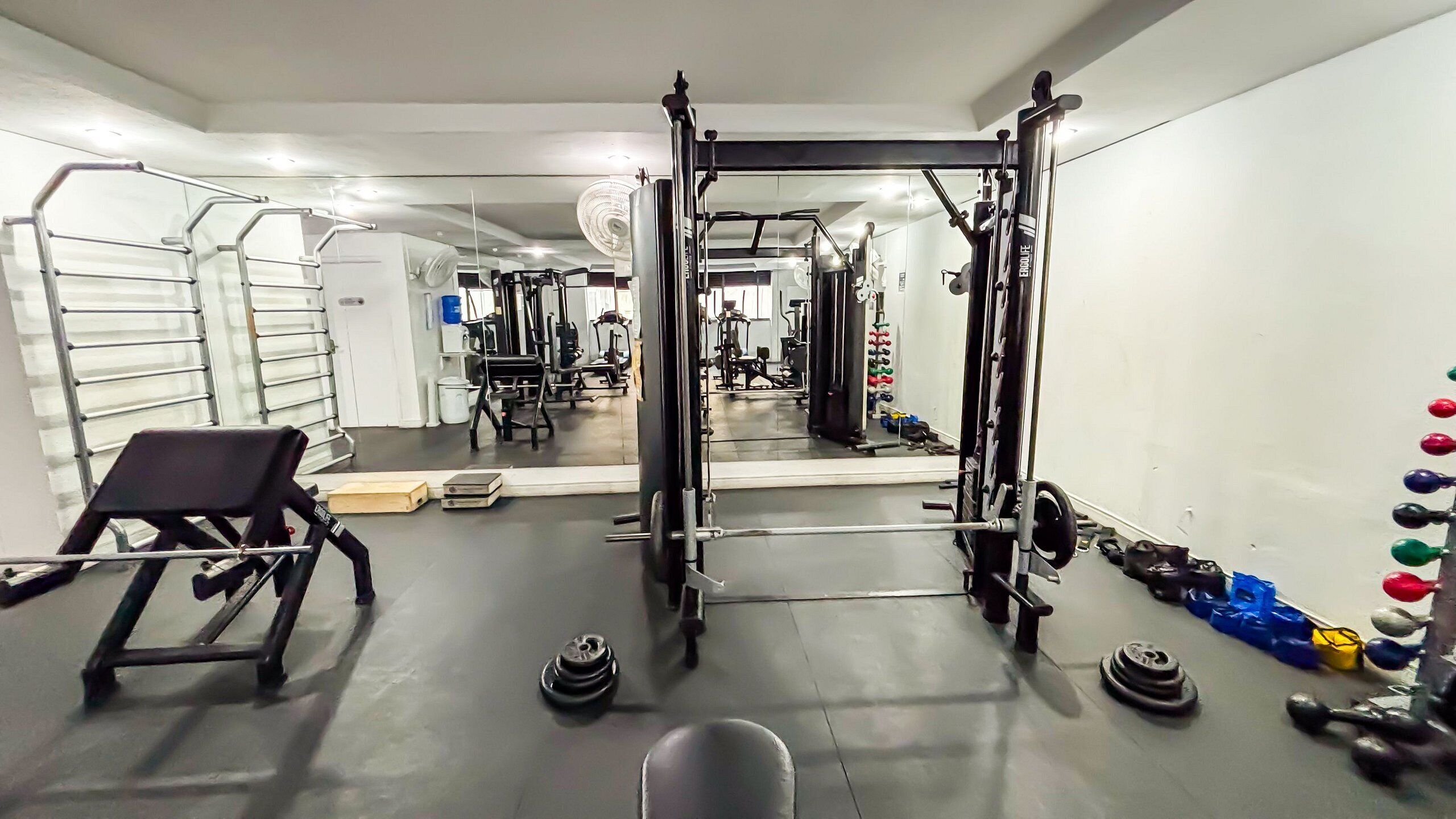 A gym with a squat rack, benches, and weight plates.