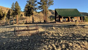 Eine rustikale Holzhütte mit grüner Dachdeckung, umgeben von Bäumen und weitläufigen Feldern.