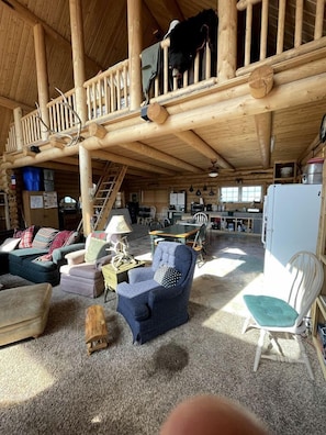 TV, fireplace, DVD player, video library