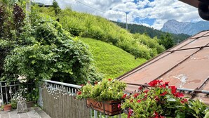 Ein Balkon mit Blick auf einen grünen Hang und Berge, mit Blumentöpfen und einem Metallgeländer.