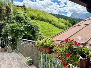A balcony with a view of a green hillside and mountains, potted plants, and a metal railing. - Dolomiti Cadore Home, in the heart of the Cadore Dolomites, 5 minutes from Sappada (san pietro di cadore)
