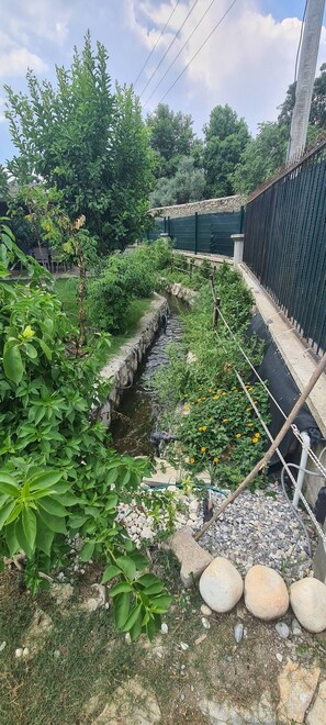 A garden with a narrow water channel, green plants, and a stone wall.