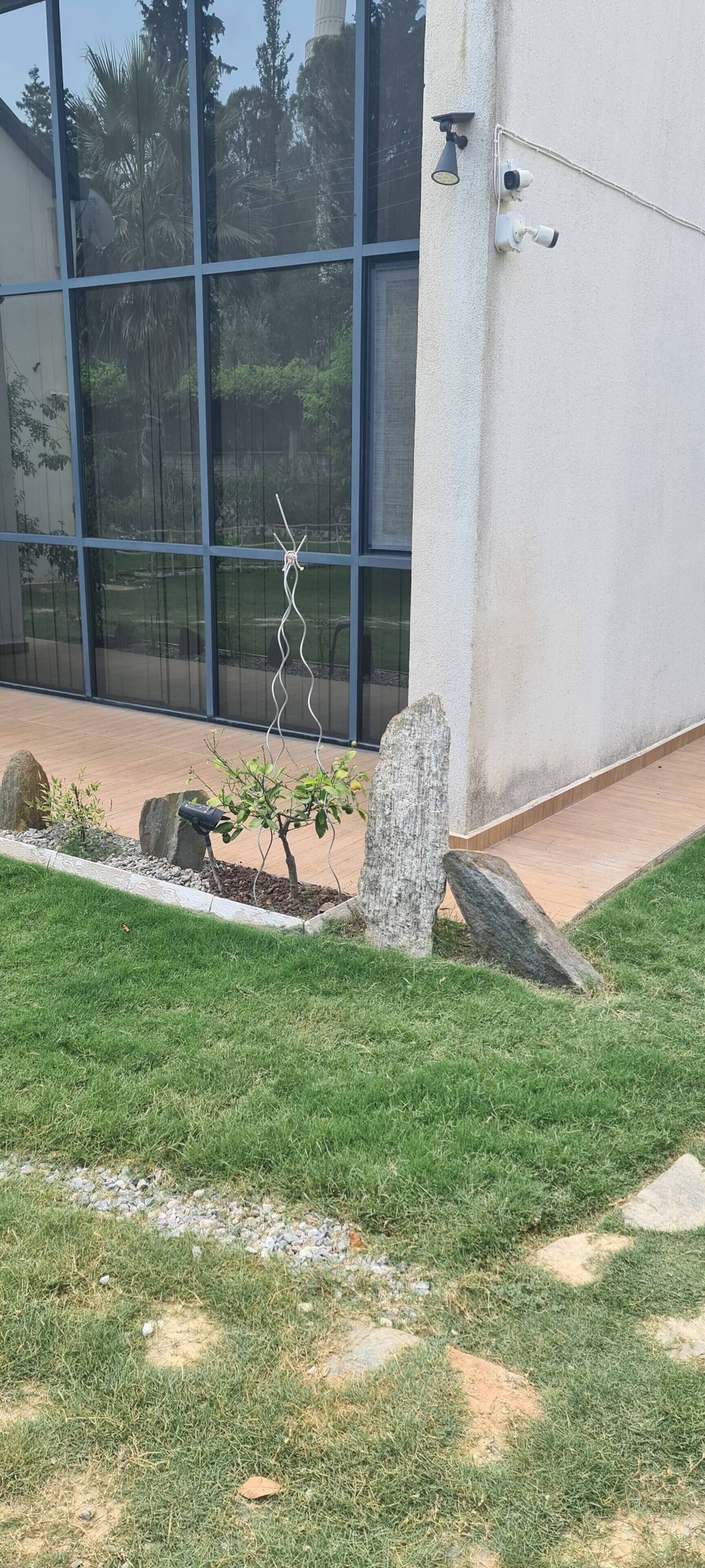 A landscaped garden area with a small tree, rocks, and a wooden pathway.