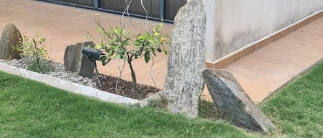 A landscaped garden area with a small tree, rocks, and a wooden pathway.