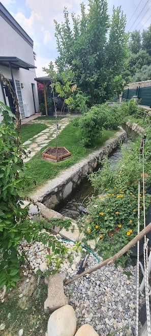 Un jardí amb una font de pedra, un arbre petit i diverses plantes.