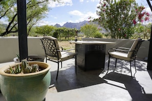 An outdoor patio with two chairs, a table, and a large potted plant.