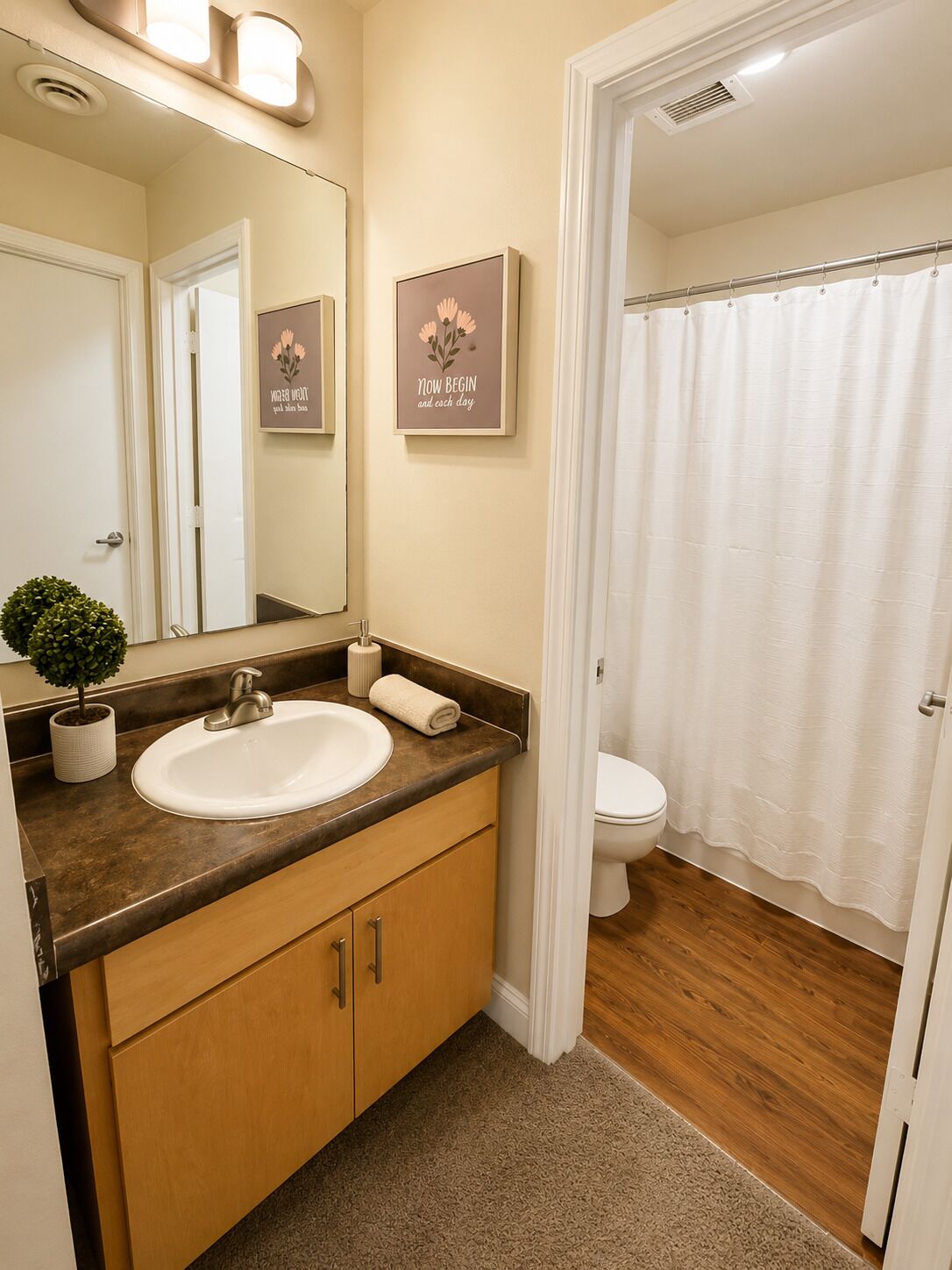 Hair dryer, towels, toilet paper