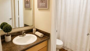 Hair dryer, towels, toilet paper