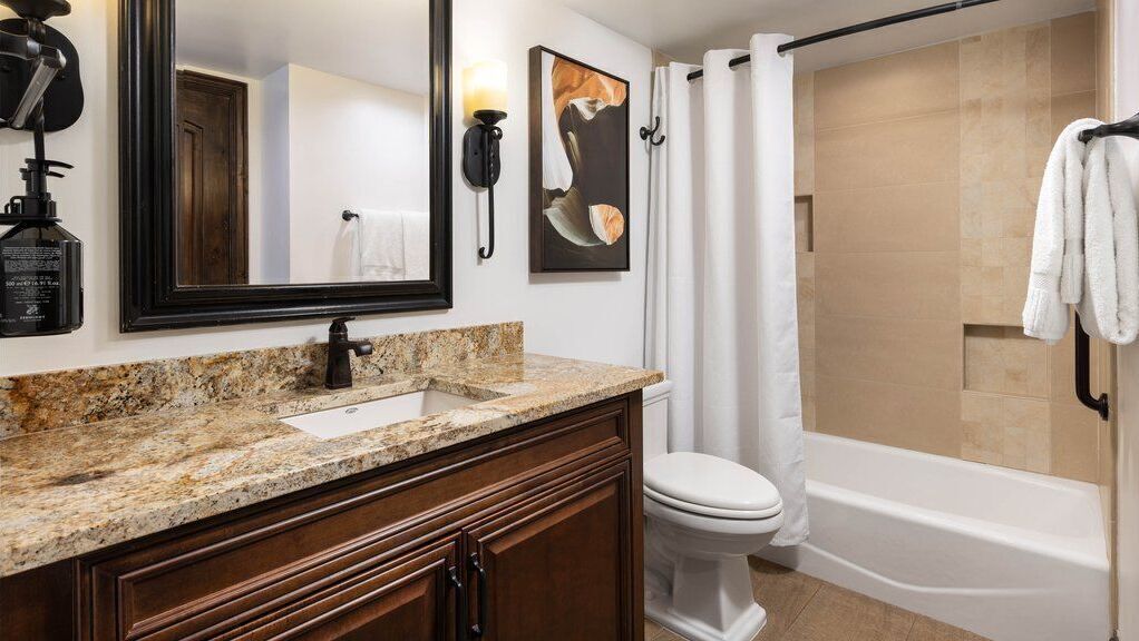 A bathroom with a granite countertop sink, a toilet, a bathtub, a shower curtain, a wall-mounted light, and a framed artwork.
