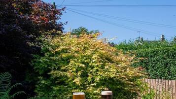 A wooden table with two glasses of beer and a bowl of food, set outdoors with greenery and a clear sky in the background.