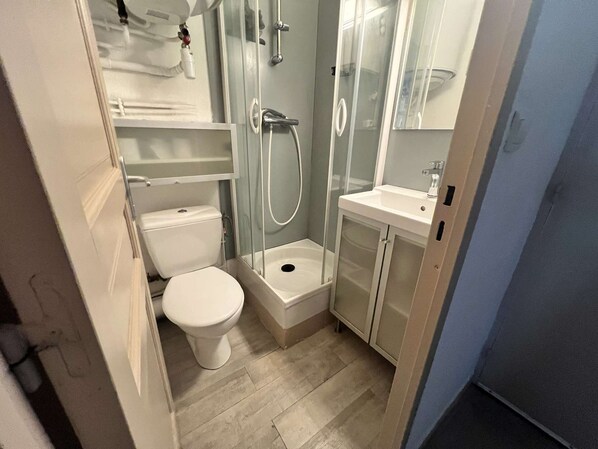 Une petite salle de bain comprenant des toilettes, un espace douche et un lavabo.