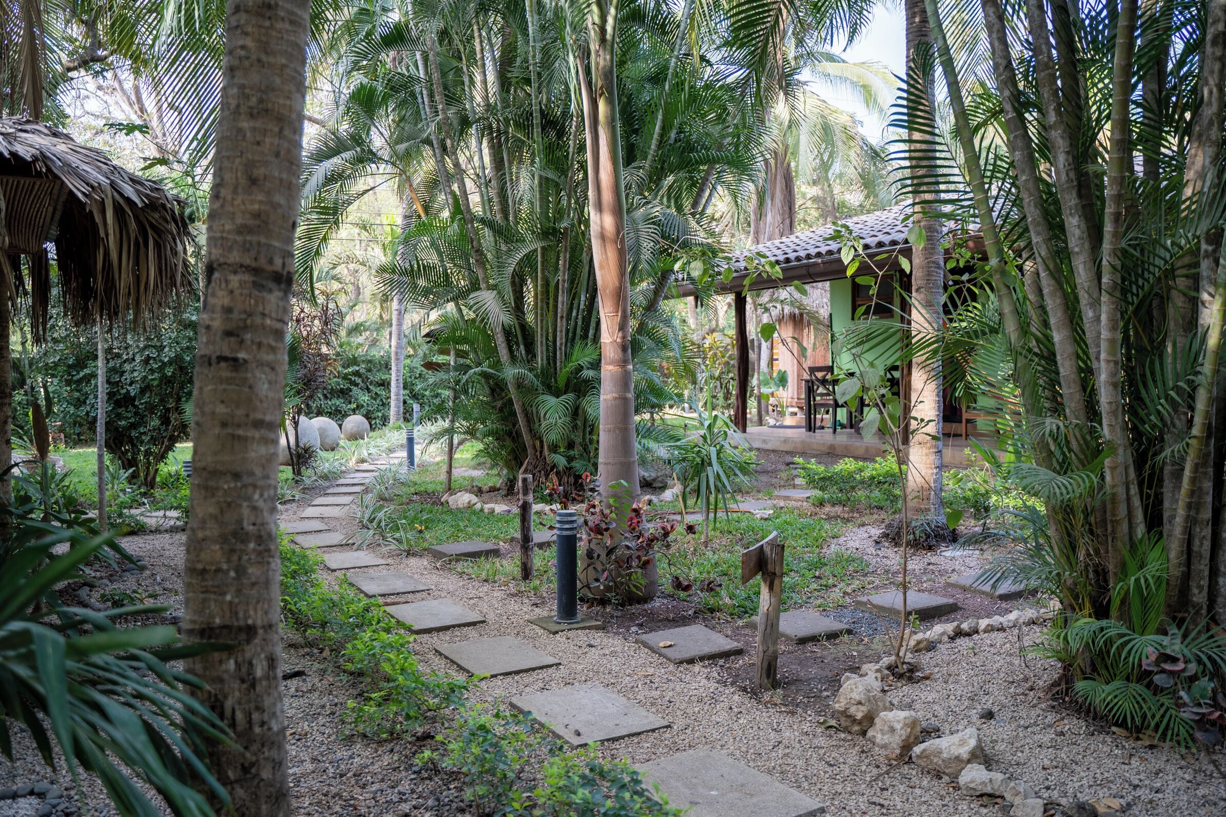 Un jardín tropical con un sendero de piedra, palmeras y una construcción rústica con techo de paja.