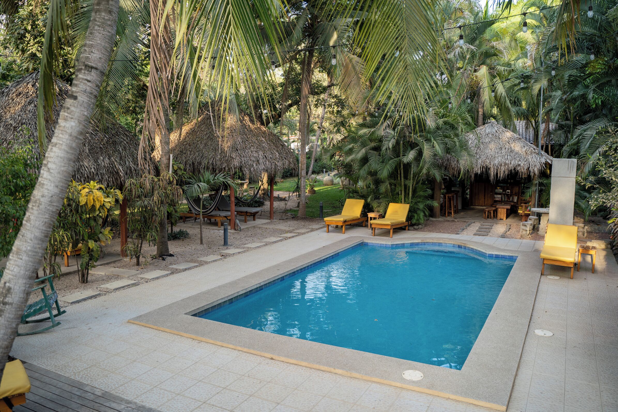 A swimming pool surrounded by palm trees and lounge chairs.