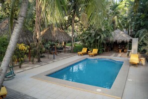 Una piscina rodeada de palmeras y sillas de descanso.