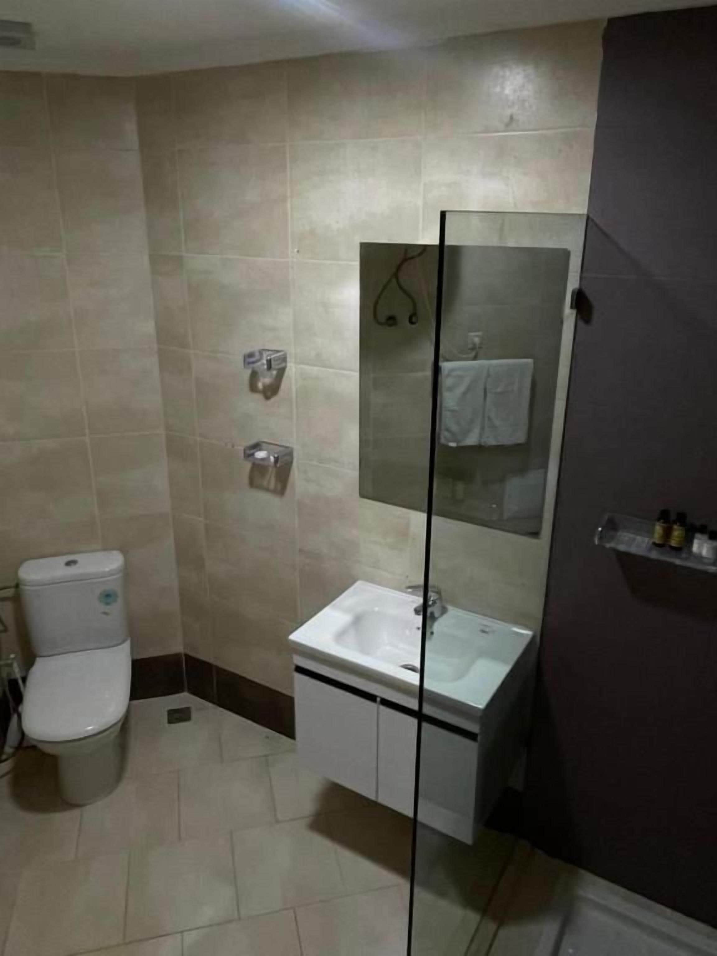 Een badkamer met toilet, wastafel en spiegel.