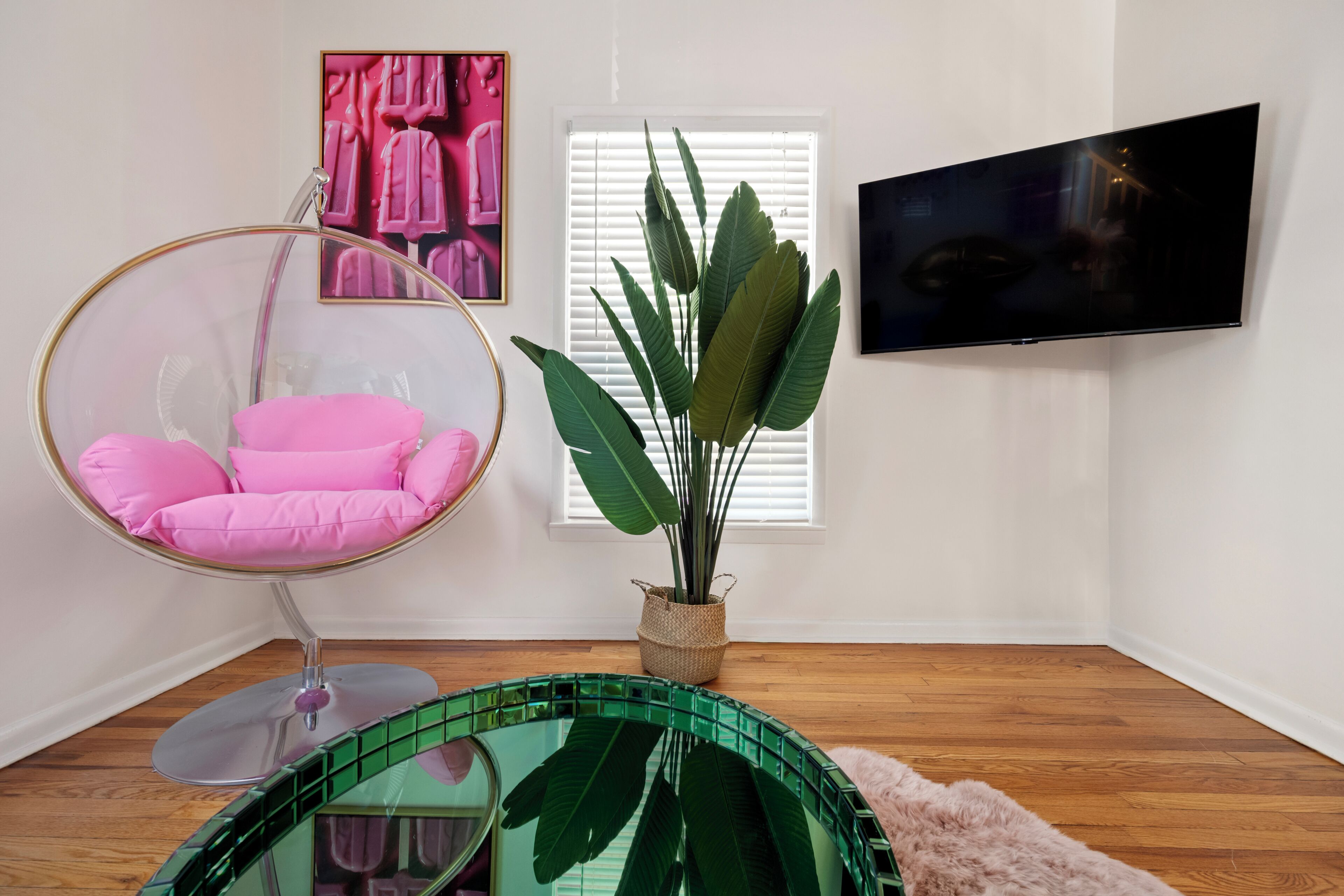 A room with a hanging chair, a potted plant, a television, and a window with blinds.