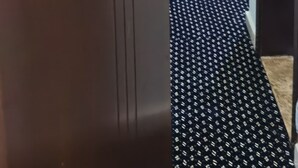 Une chambre d’hôtel avec une porte portant le numéro « 529 », une serrure à clavier, une moquette à motifs et un lit recouvert d’une couverture bleue.
