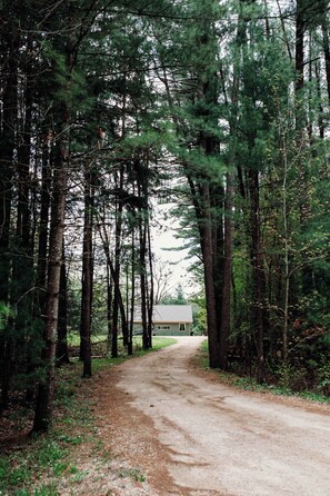 A dirt path leading to a building surrounded by tall trees. - Hidden Lake Escape | Hot Tub | Near Dells (Wisconsin Dells)