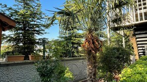 Een tuin met een palmboom, diverse struiken en een stenen muur.