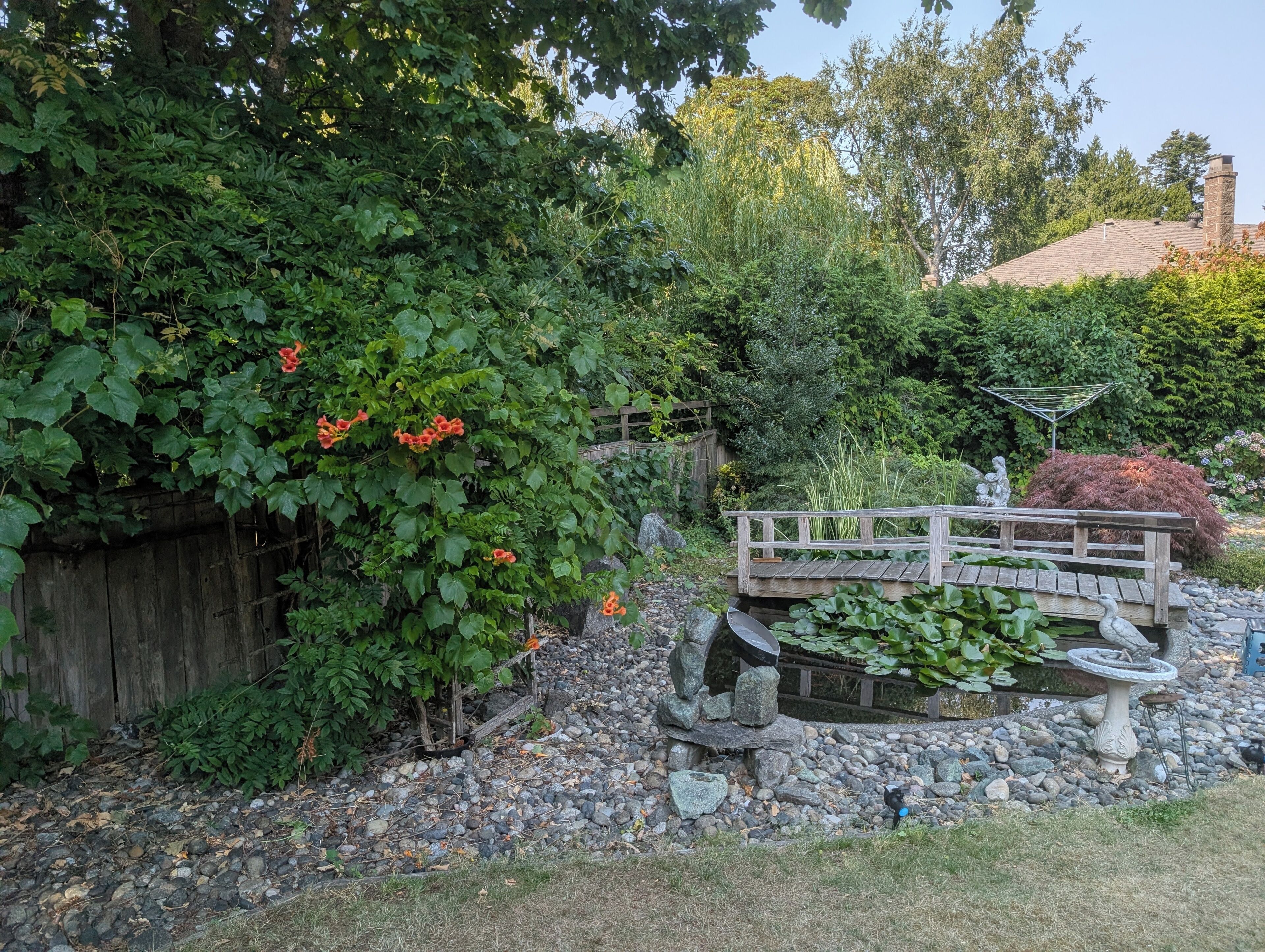 Un jardin avec un pont en bois, un abreuvoir pour oiseaux et un bassin en pierre.