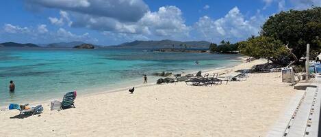 A beach with clear turquoise water, a sandy shore, and a few people and birds.