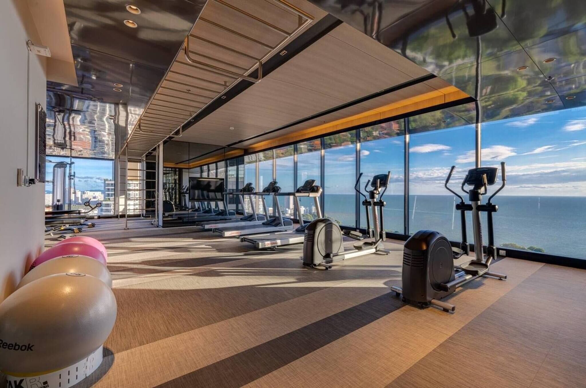 A gym with treadmills, elliptical machines, and Reebok exercise balls, overlooking a scenic view.