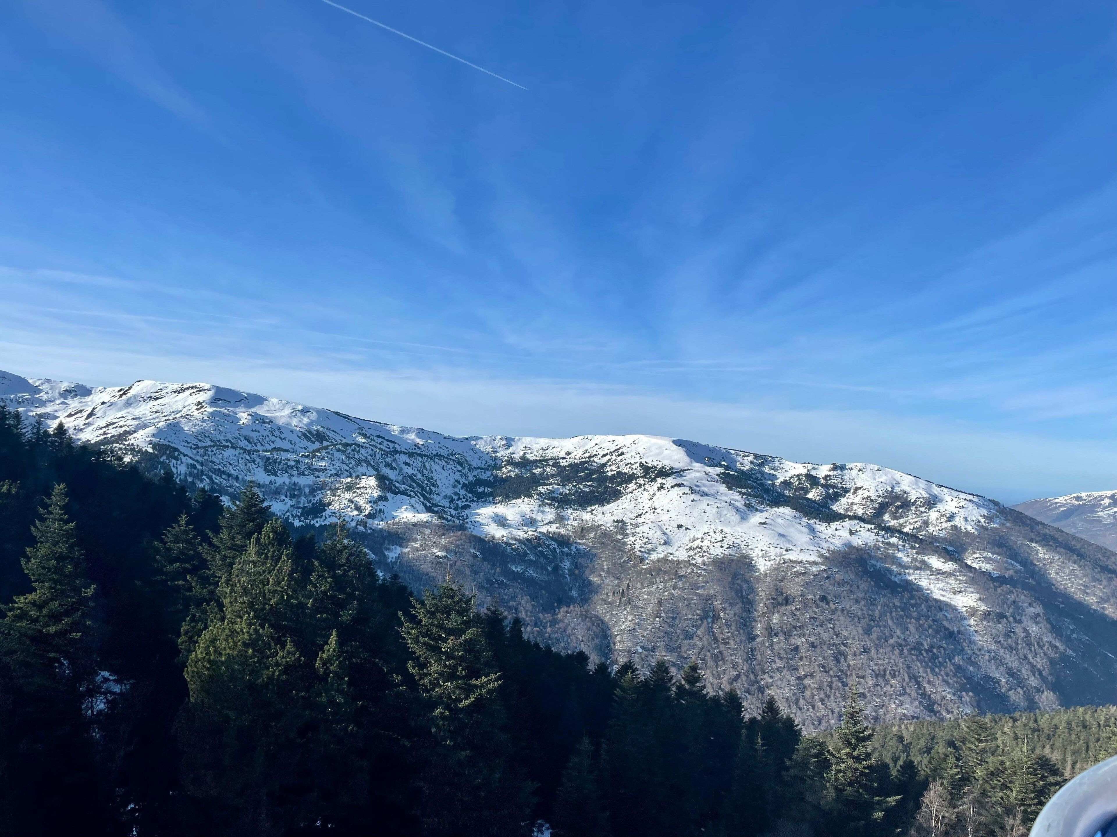 Paisaje montañoso con picos nevados y un denso bosque en la base.