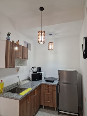 A compact kitchen with wooden cabinets, a stainless steel sink, a microwave, a kettle, a toaster, and a refrigerator. - Anir House (Tanger)