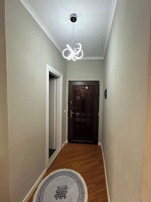 A hallway with a wooden floor, a patterned rug, a dark wooden door, and a ceiling light fixture. - Olive apartment by TOK (Durrës)