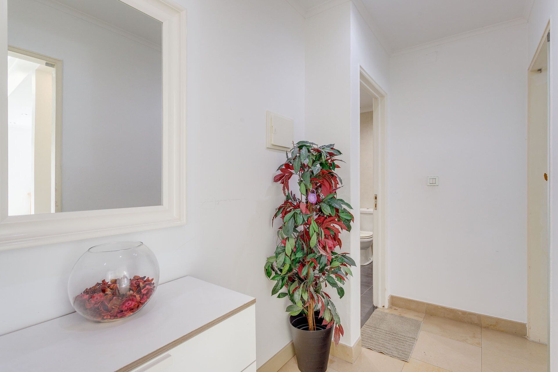 Ein Korridor mit weißer Wand, einem Blumentopf, einem Fischglas und einer Tür zu einem weiteren Raum.