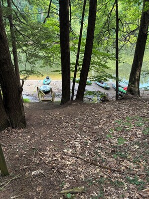 Un área boscosa con un río, kayaks y una tabla de paddleboard.