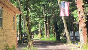 A wooden cabin with a dirt path leading through a forested area.