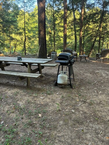 Gorgeous 2-bedroom cabin in charming Camden for a relaxing getaway on fish creek