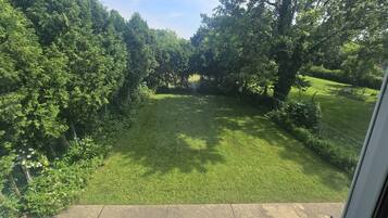 A view of a well-maintained lawn with a stone border, surrounded by dense trees.