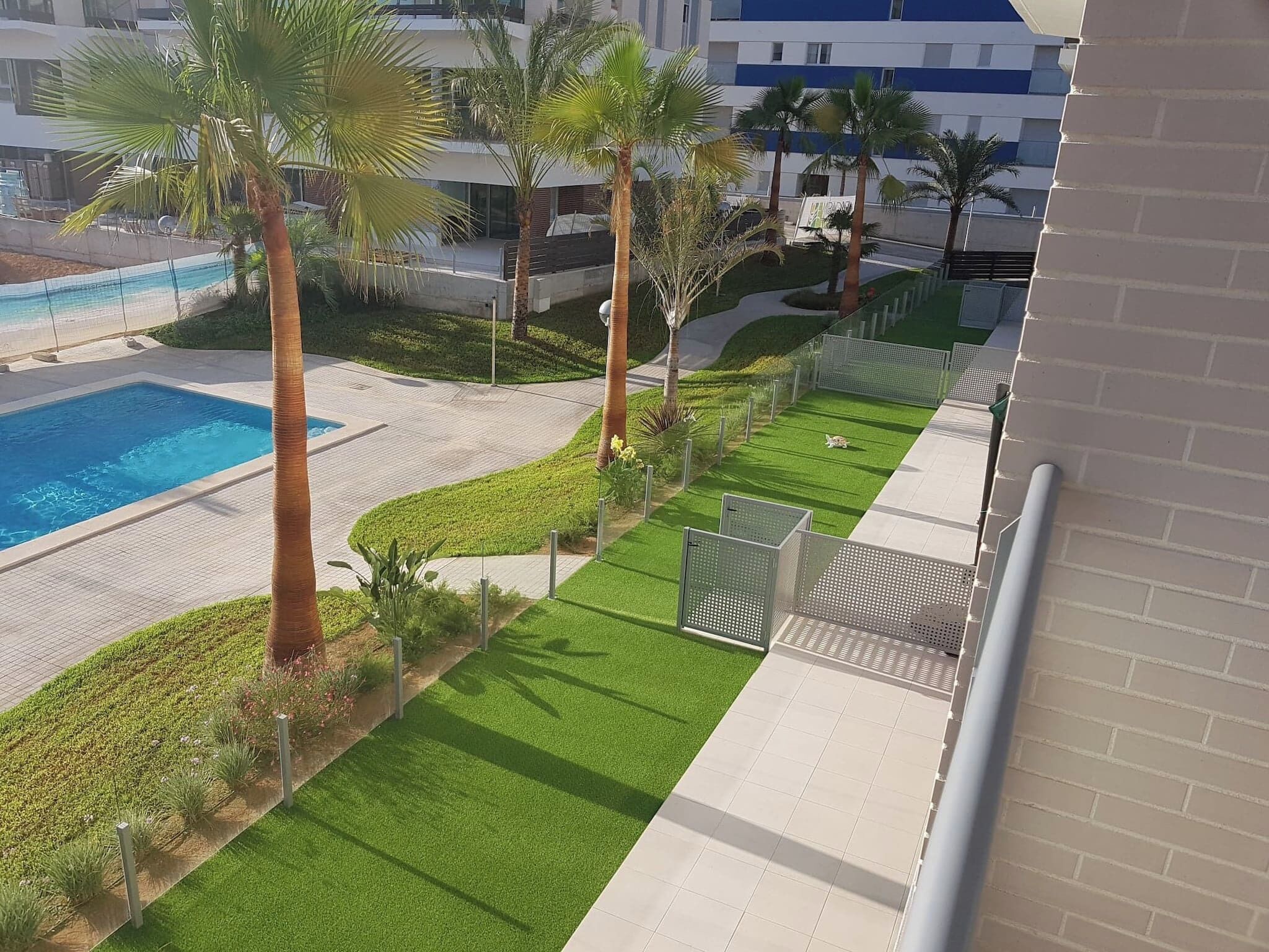 A pool area with a rectangular pool, palm trees, and a well-maintained lawn.
