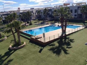 Una piscina rectangular con un deck alrededor, palmeras y un complejo de edificios al fondo.